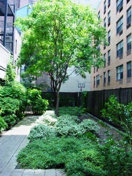 225 E 6th St - Photo 3 of 3