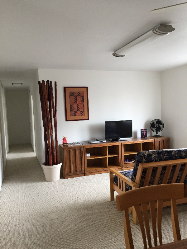 173 Kuhilani St - Photo 2 of 19