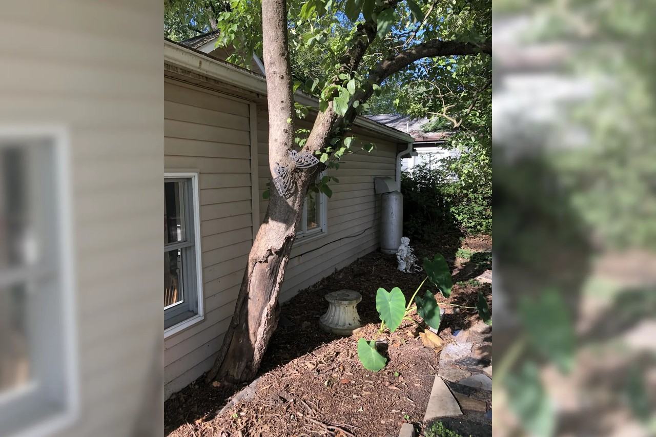 385 Chestnut Trl - Photo 2 of 17