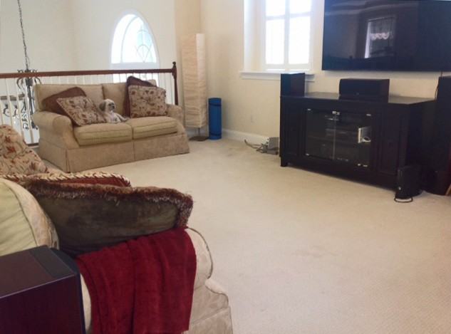 525 Bronze Branch Ct - Photo 2 of 5