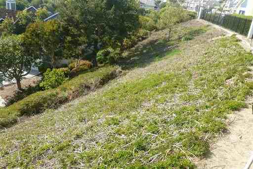15 Windcrest - Photo 3 of 218
