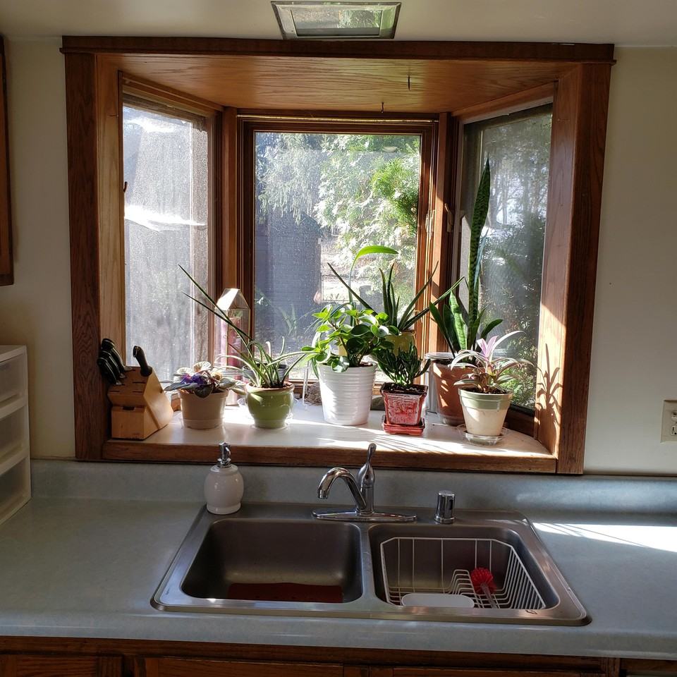 717 W Olin Ave #1 - Photo 2 of 15