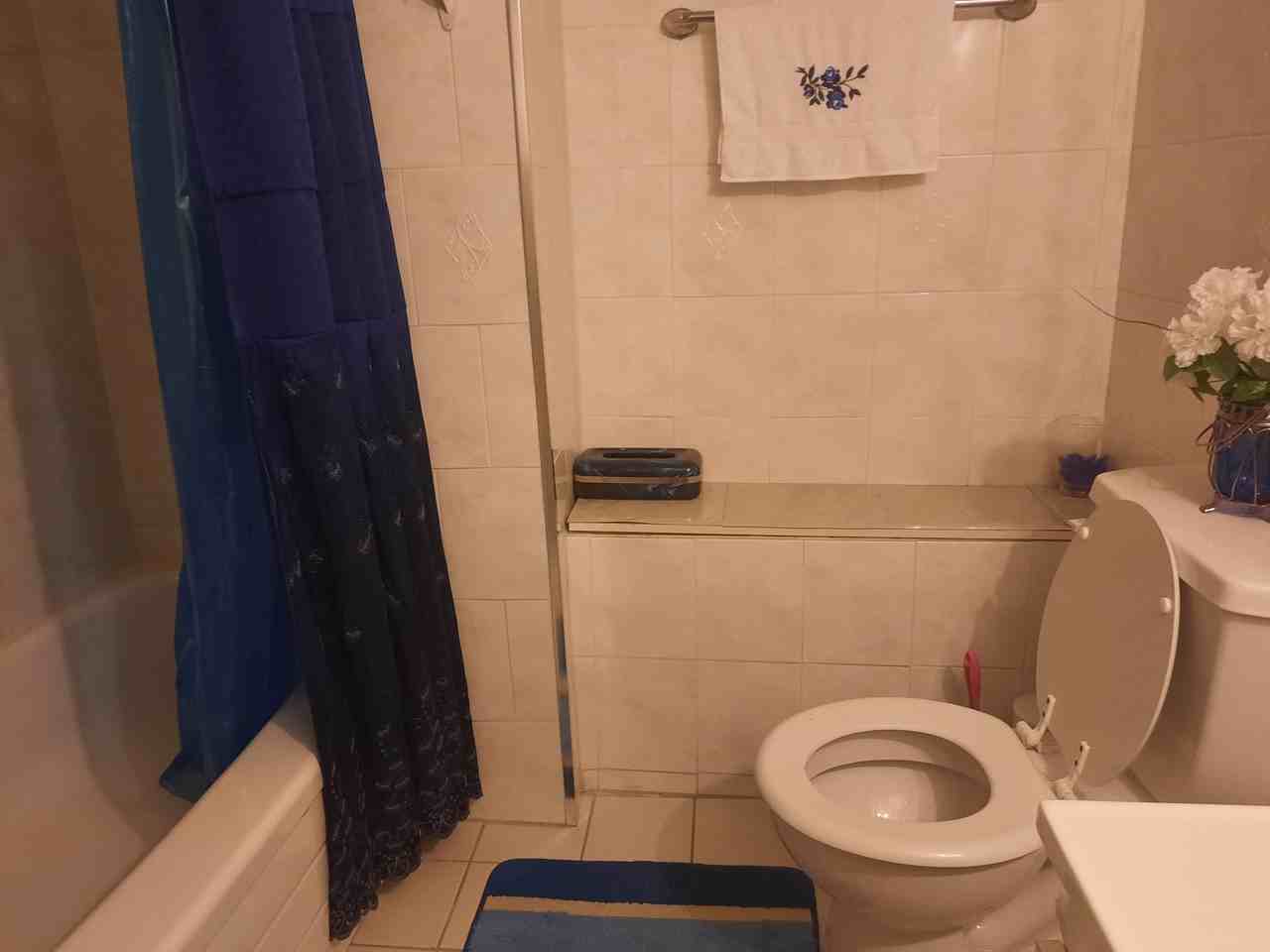 107 Lindylou Road - Photo 3 of 14