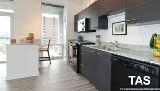 805 N La Salle Dr - Photo 1 of 1