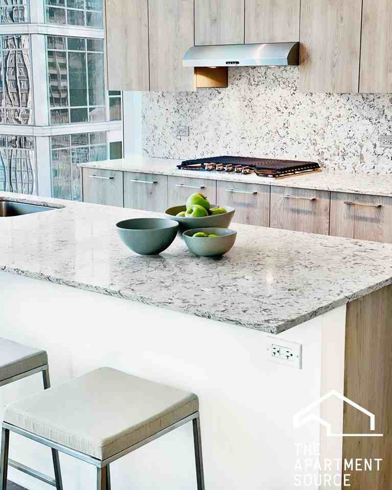 220 W Illinois St #3BED2BATH - Photo 7 of 50