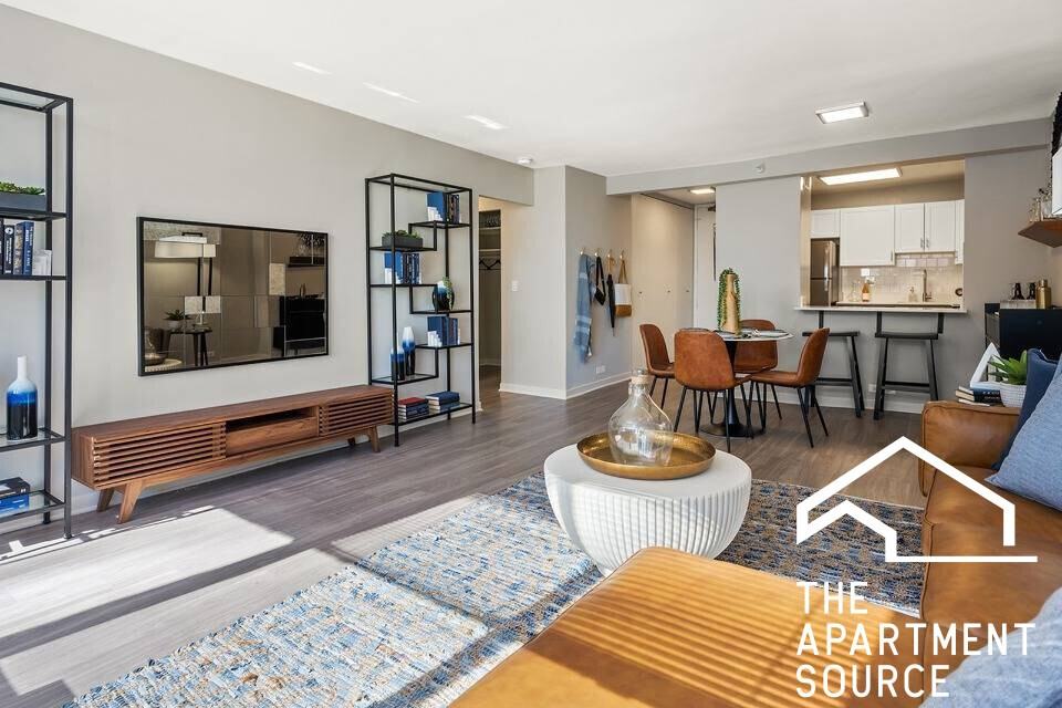 333 E Ontario St - Photo 3 of 17