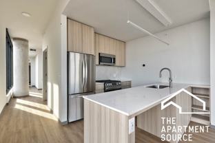 513 S Damen Ave - Photo 1 of 1