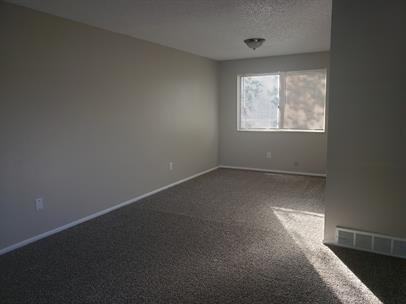 2913 Wagonwheel Ct - Photo 3 of 20