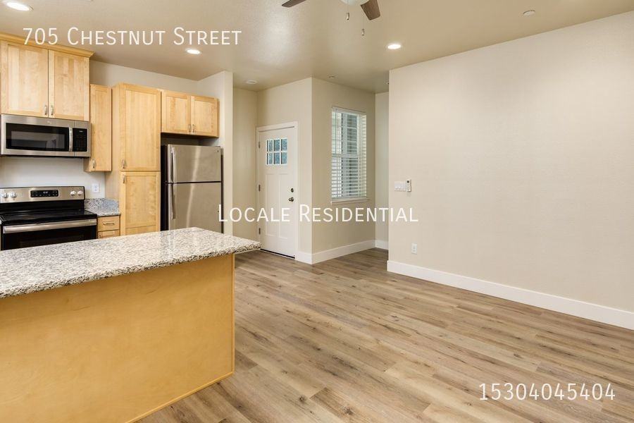 705 Chestnut St - Photo 2 of 13