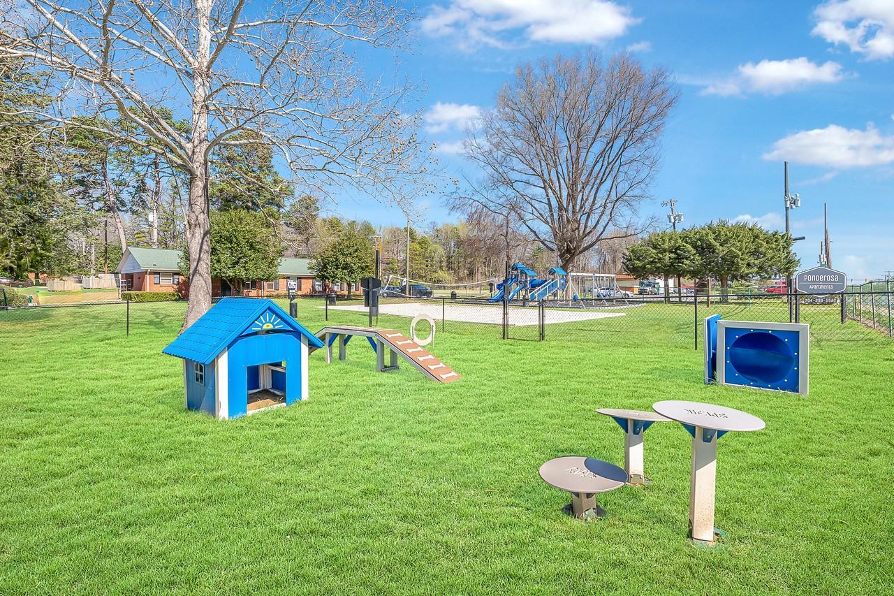 Ponderosa Apartments - Photo 6 of 29