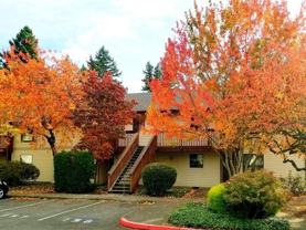 20121 Se Stark St - Photo 1 of 1