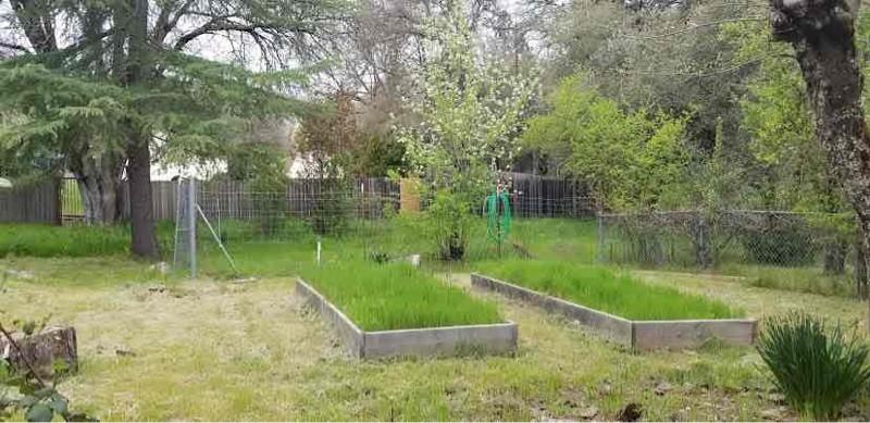 18525 Penn Valley Dr #A - Photo 2 of 20