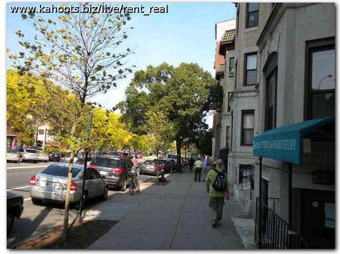 1417 Beacon St #3 - Photo 7 of 28