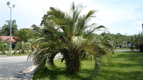 exit 102 - Photo 2 of 2