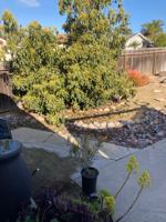 featured image of 7160 Grable St