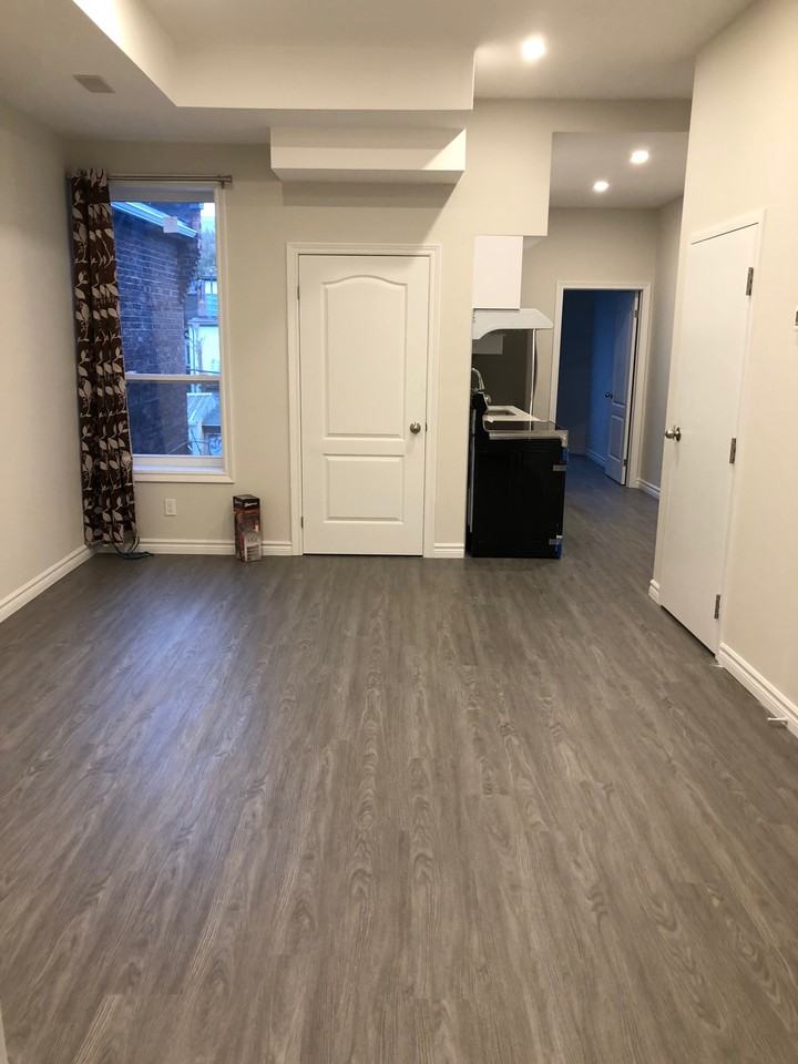 Downtown One Bedroom with Ensuite bathroom in Shared Apt Apartments