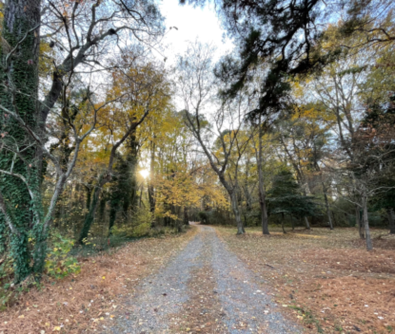 3244 Weems Rd - Photo 3 of 4