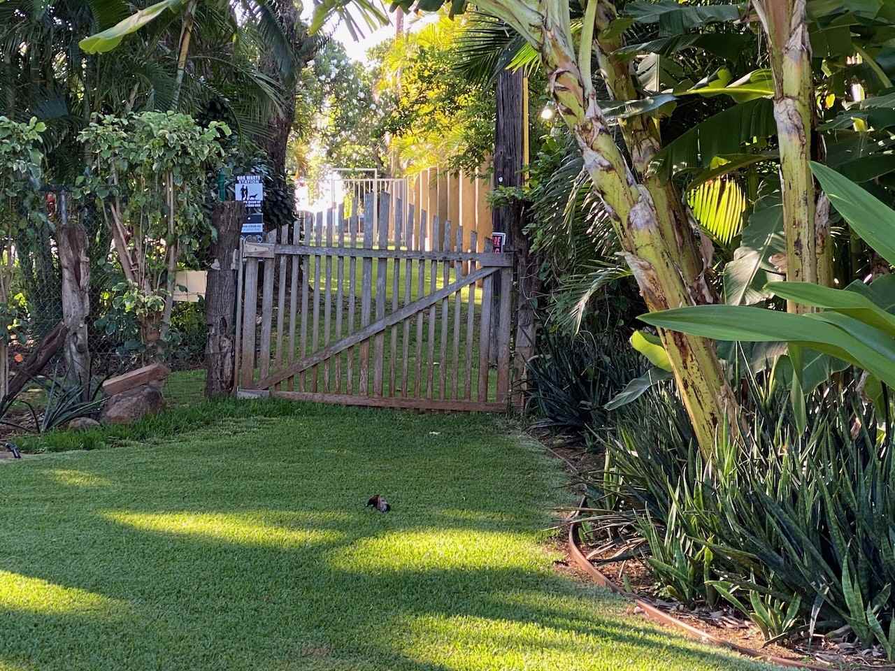 141 Makahiki Street - Photo 3 of 16