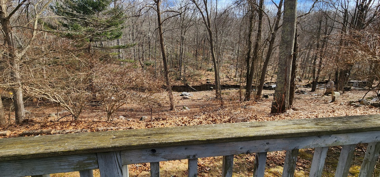 157 Oil Mill Road - Photo 2 of 16
