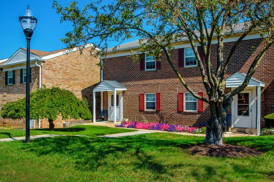 Deertree - Photo 4 of 50