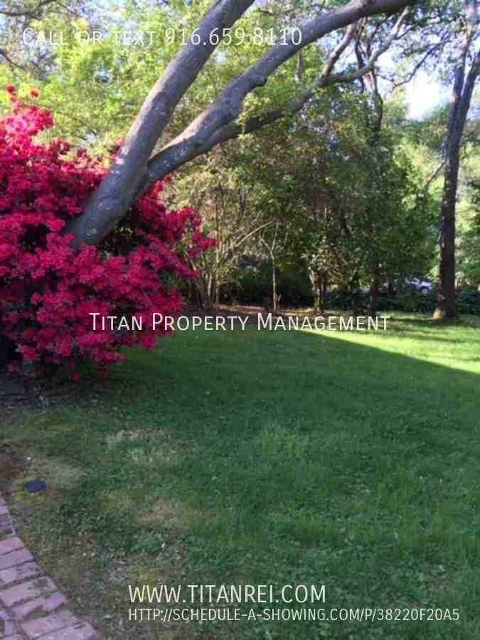 8205 Oak Knoll Dr - Photo 3 of 50