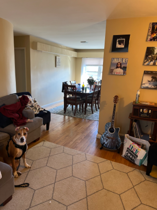 1162 Eastern Pkwy - Photo 3 of 3