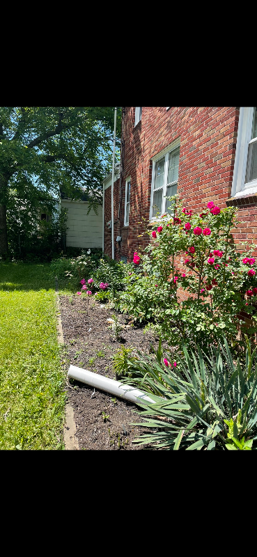 58 Arlington Rd #1 - Photo 2 of 26