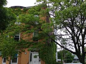 67 Bishop Allen Drive #2 - Photo 1 of 1