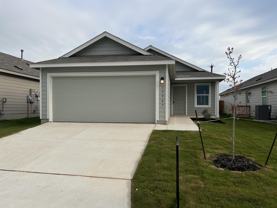 13927 Jersey Cow #1 - Photo 1 of 1