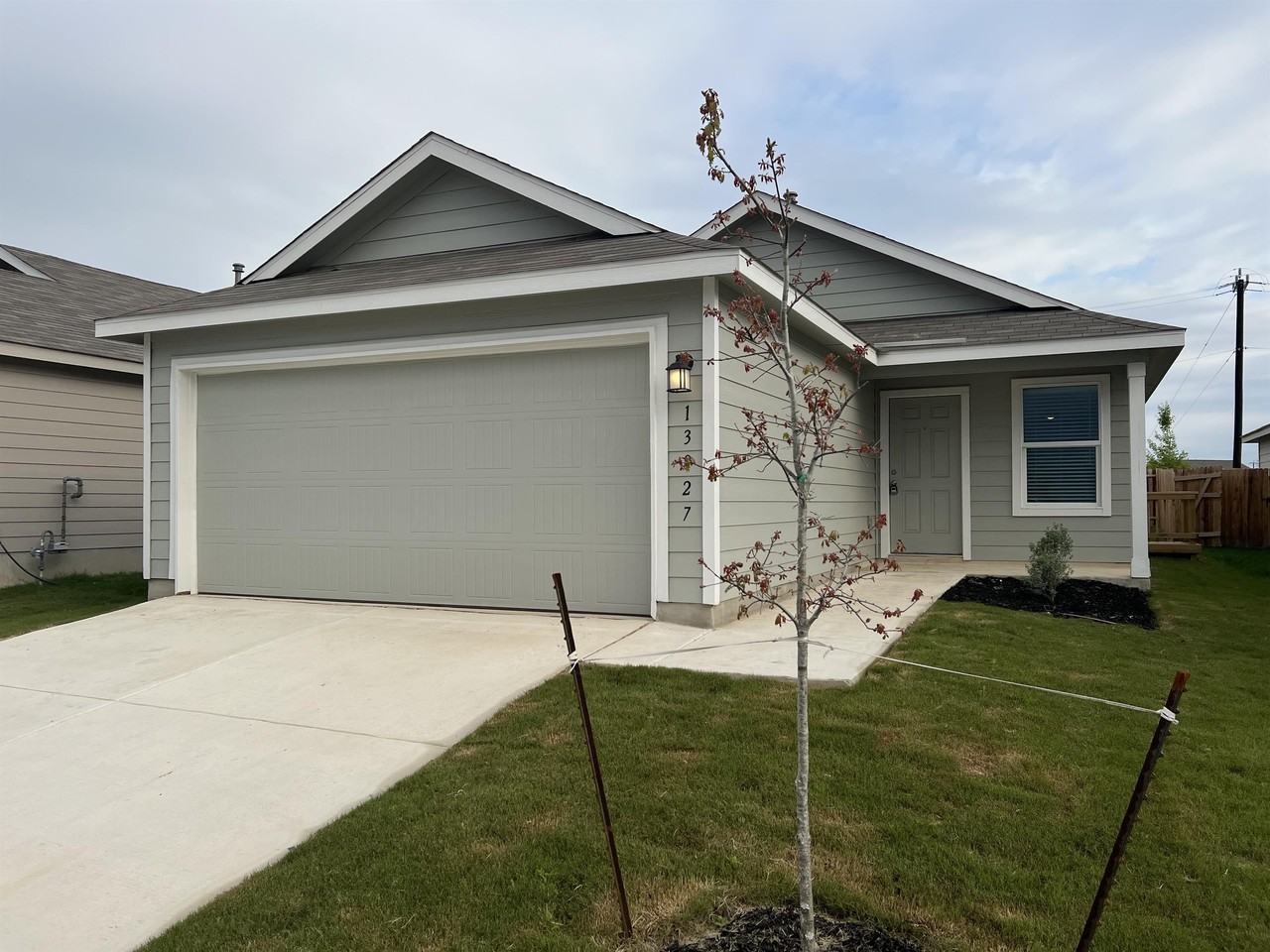 13927 Jersey Cow #1 - Photo 3 of 30