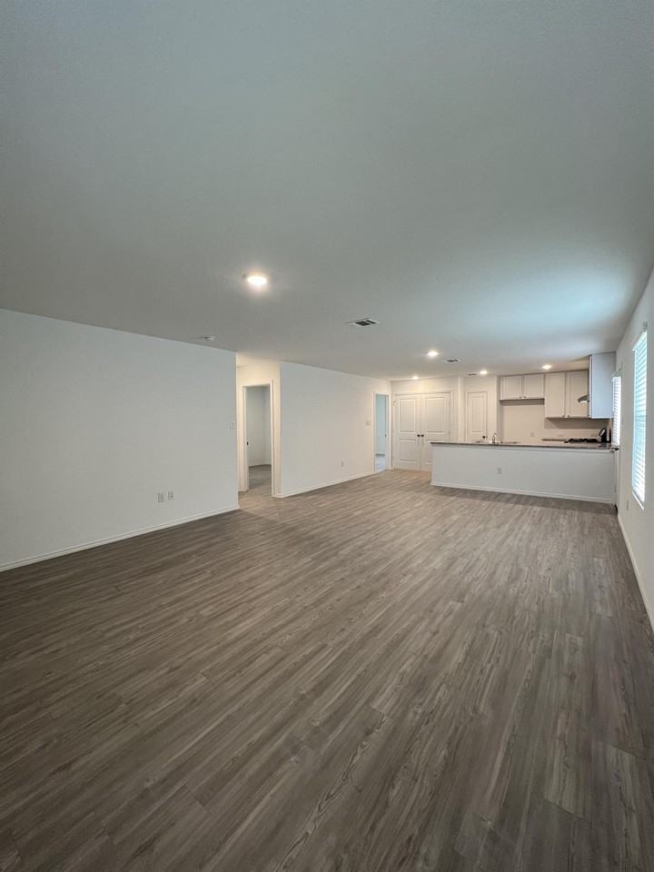 13927 Jersey Cow #1 - Photo 6 of 30