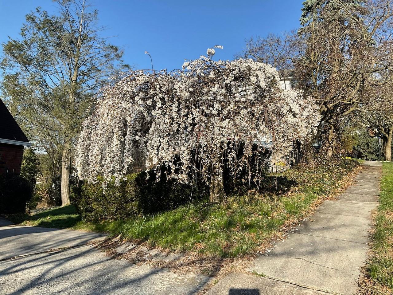 42 Fort St - Photo 2 of 29