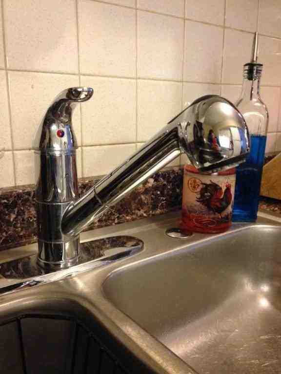 1814 Dalton Ct - Photo 4 of 11