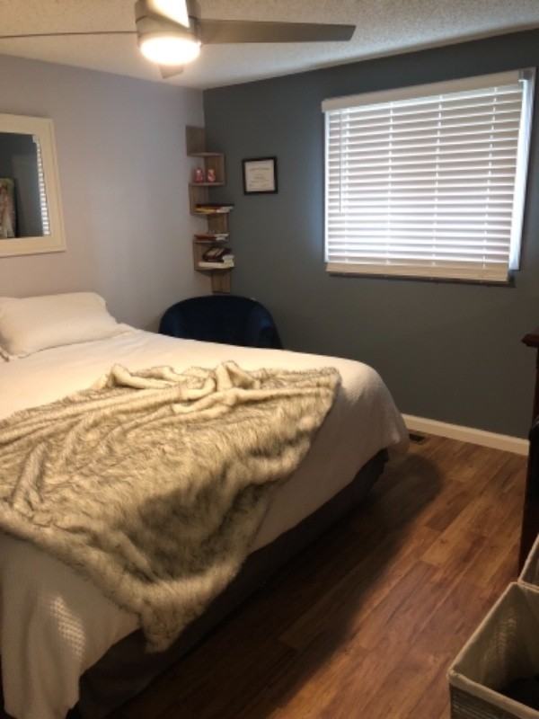 677 Vera Ct - Photo 7 of 7