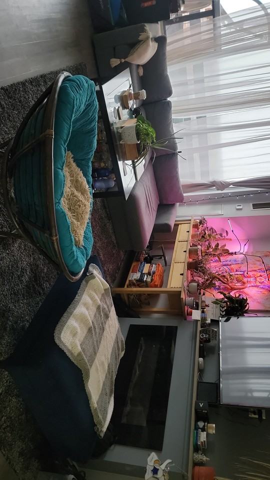 11 Wincott Drive - Photo 2 of 8