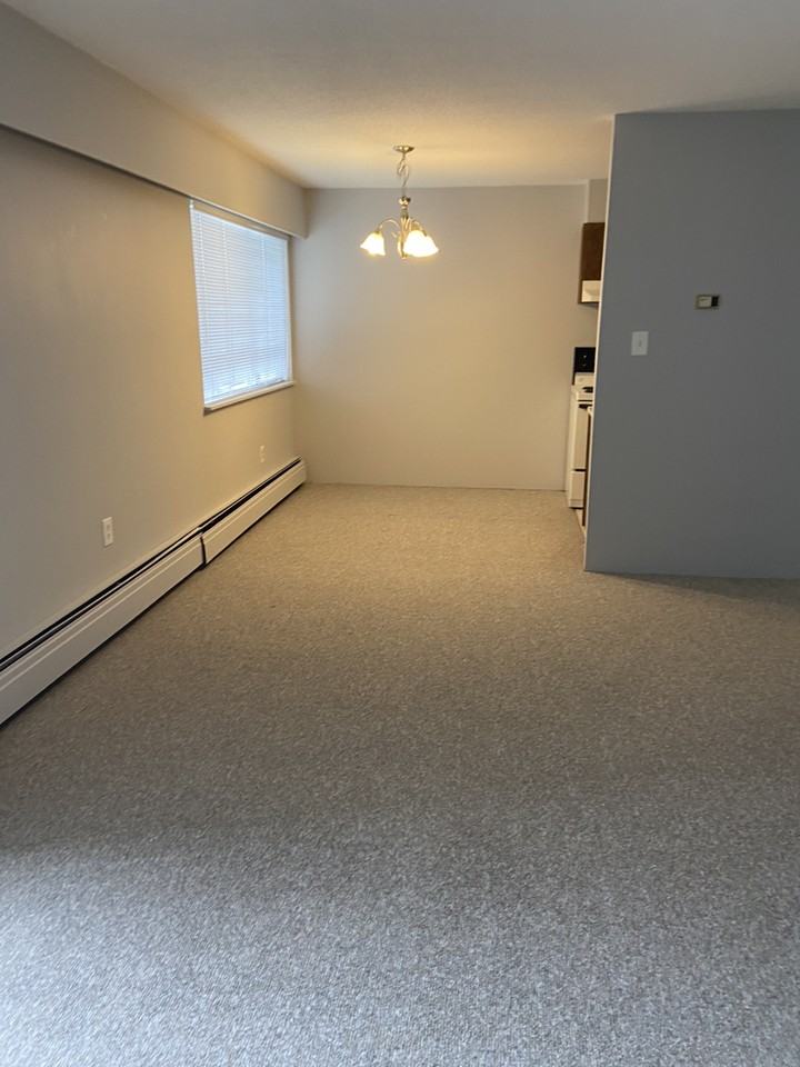 Balmoral St & Hall Ave #1 - Photo 4 of 10