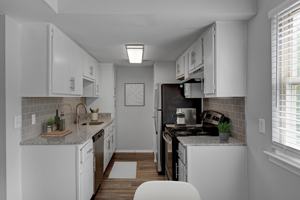 featured image of 4009 Deep Hollow Drive