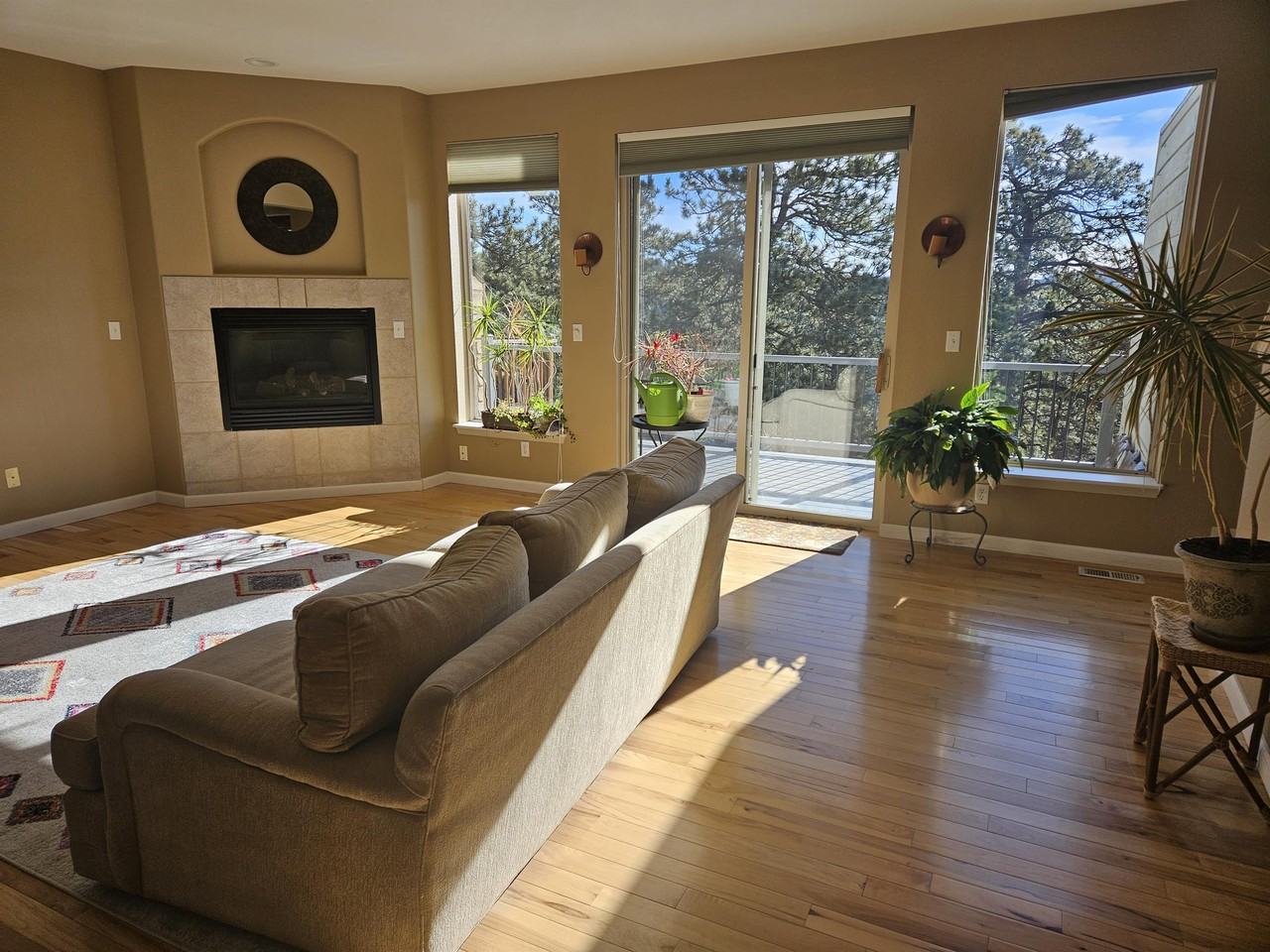 3104 Sulky Ln #1 - Photo 3 of 17