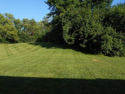 6155 Ricky Dr - Photo 2 of 19