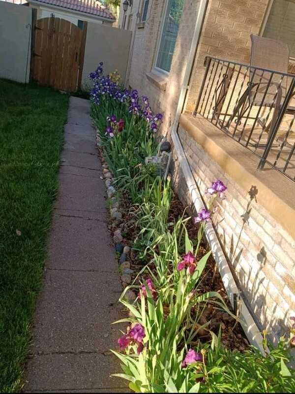219 W 4th Ave - Photo 2 of 38