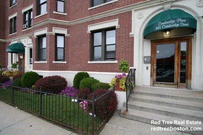 7 Barrows St #B - Photo 5 of 5