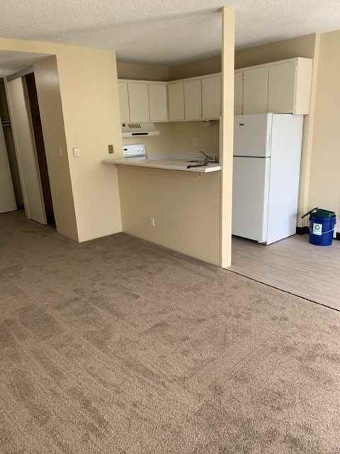 4131 11th Ave Ne #306