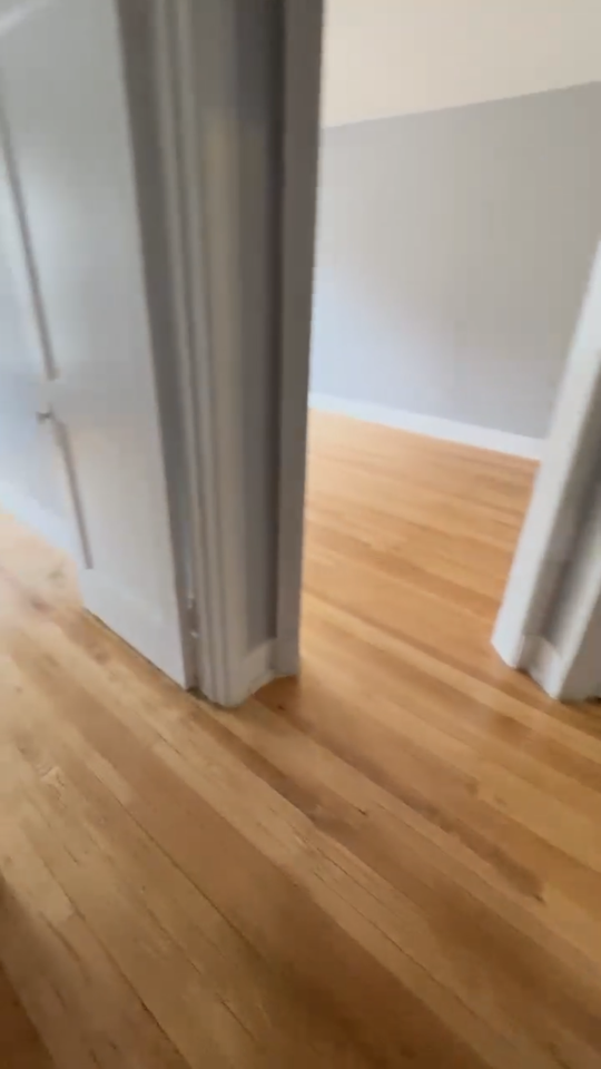 4541 S Calumet Ave #4541-1 - Photo 3 of 10