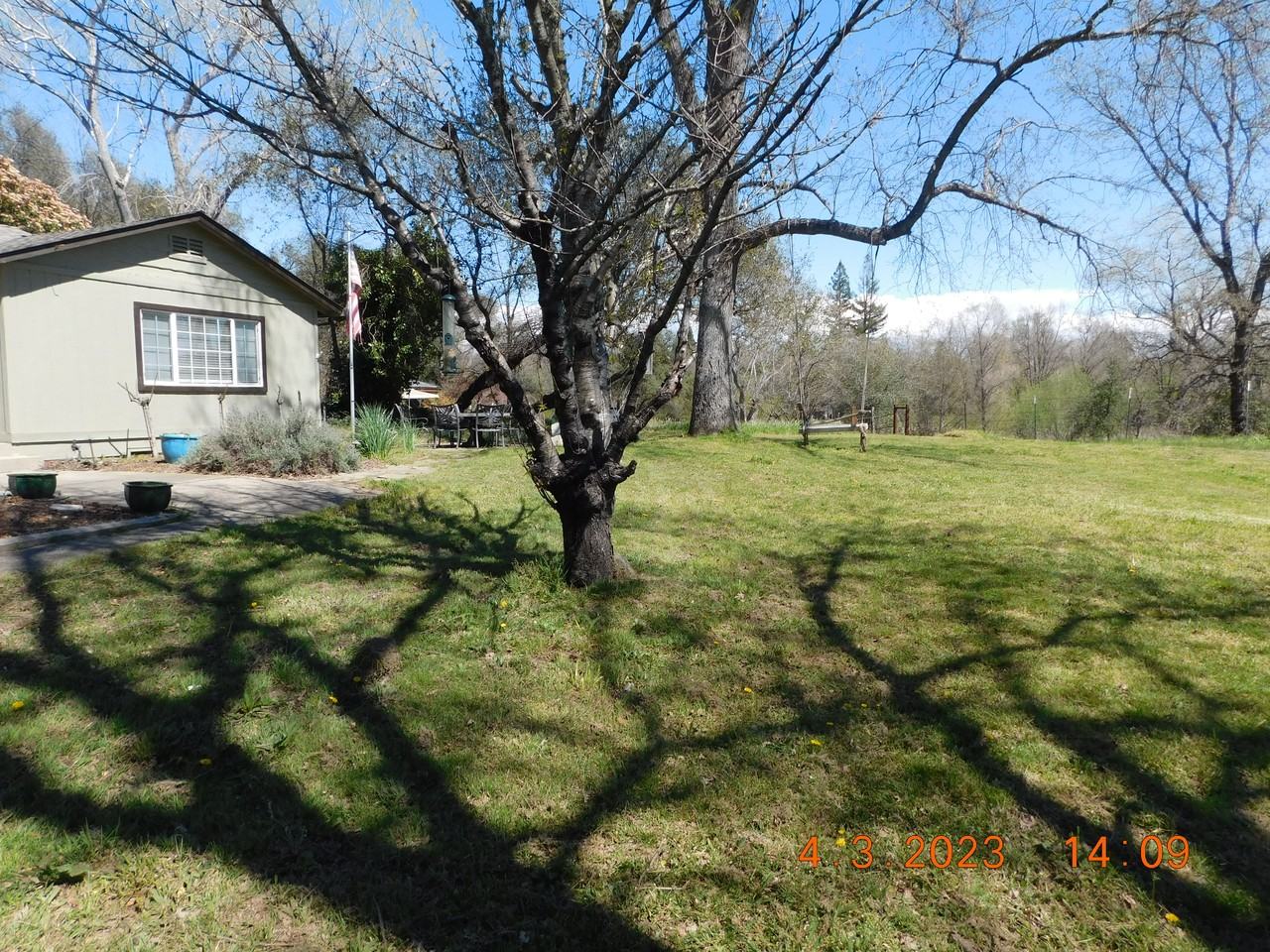 7077 Pine Gate Way - Photo 5 of 19
