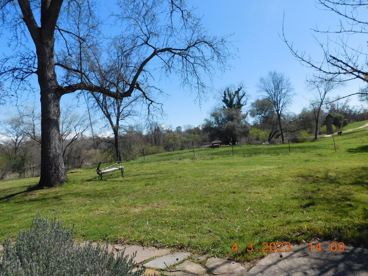 7077 Pine Gate Way - Photo 7 of 19