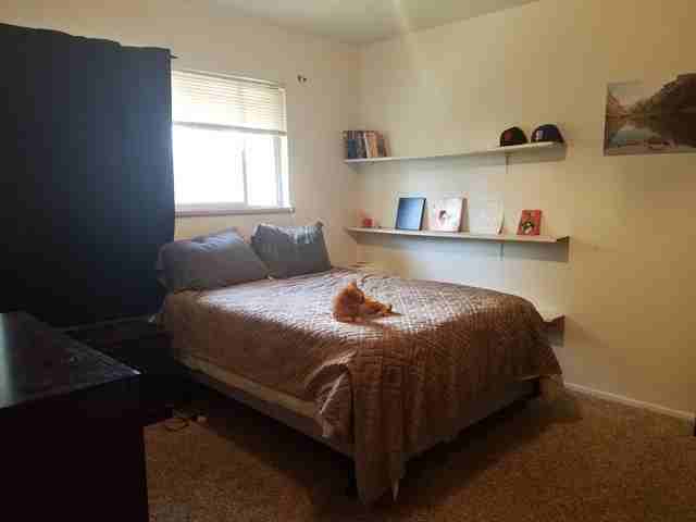 1250 Elder Ave #11 - Photo 4 of 11