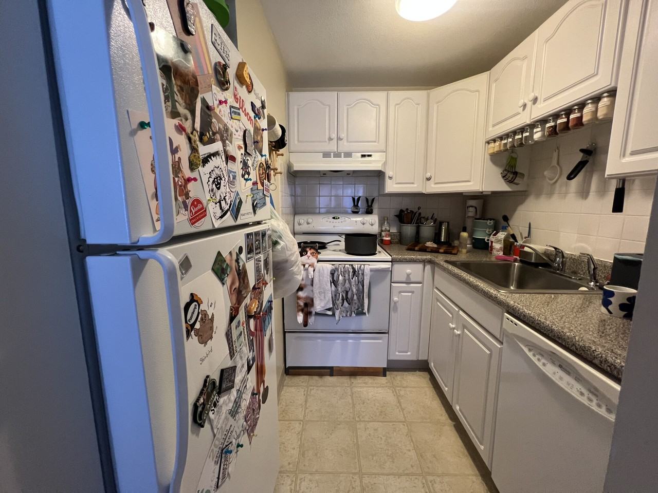 24 Highland Ave #17 - Photo 3 of 10