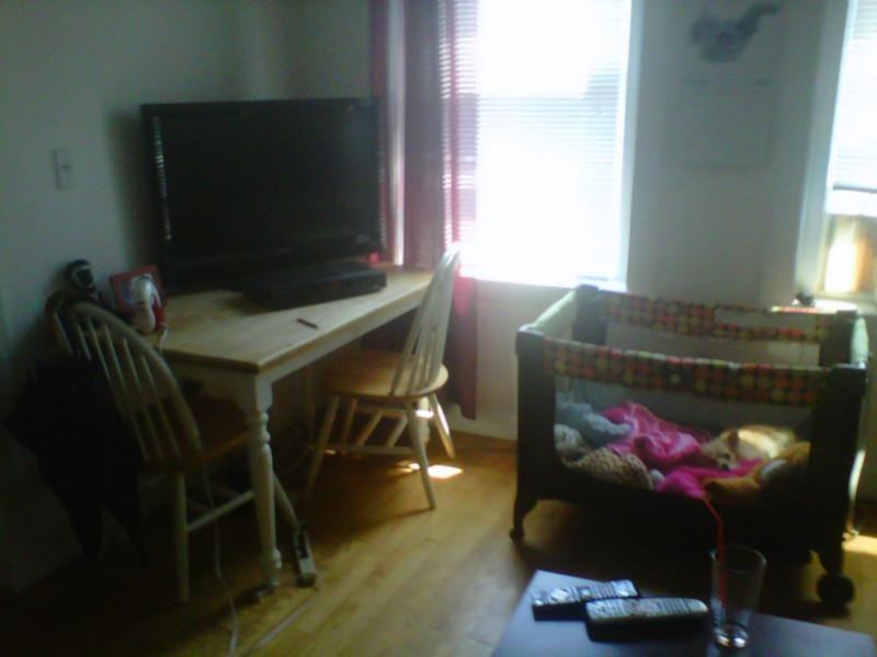 Phillips St #6