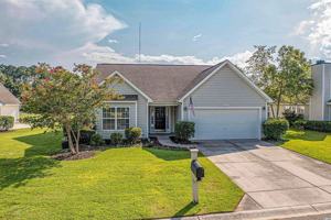 featured image of 223 Whitchurch St #1