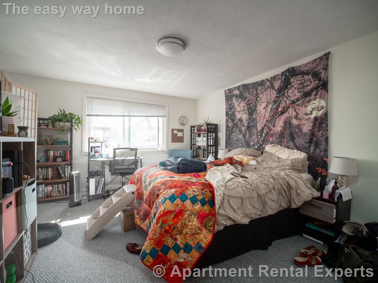 99 2nd St #2 - Photo 5 of 29